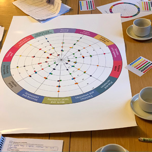 The Place Standard score wheel